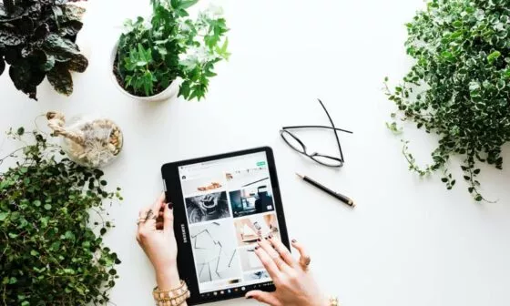 Passo a Passo para Criar sua Loja Virtual Desenvolvimento de Lojas Virtuais 3